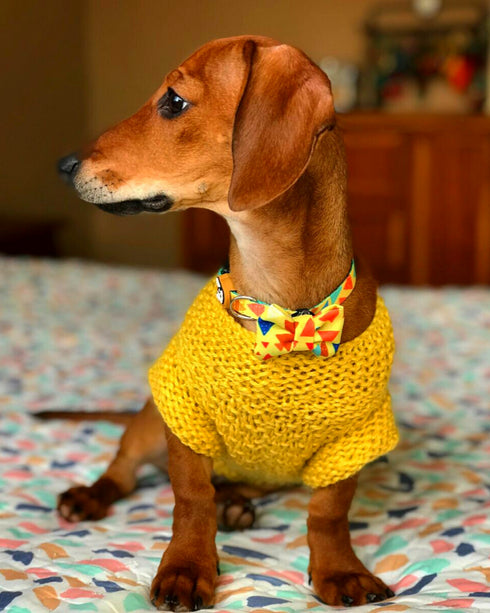 Collar con Moño Guiza